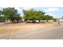 Inviting single-story home featuring mature landscaping and a charming wooden fence at 2230 Wagon Ave, Pahrump, NV 89048