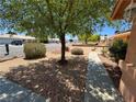 Beautifully landscaped front yard with mature shade tree and walking path leading to the home at 710 Tomahawk Ct, Pahrump, NV 89060