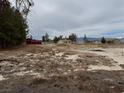 Expansive lot with mature trees, and room to build a new home to suit your needs at 2451 E Falcon St, Pahrump, NV 89048