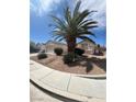 A single story home with desert landscaping features a mature palm tree in the front yard at 3108 Sentimental Ct, North Las Vegas, NV 89031