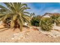 A charming house with beautiful palm trees in the front yard at 9514 Teton Vista Ave, Las Vegas, NV 89117