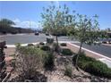 Well-maintained front yard featuring desert landscaping and mature trees at 2653 Crystal Blue St, Laughlin, NV 89029
