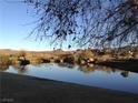 Scenic view of a tranquil lake surrounded by mountains and mature landscaping in the community at 35 Emerald Dunes Cir, Henderson, NV 89052