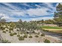 Scenic view of lush green golf course and desert landscaping from the property at 916 Pro Players Dr, Las Vegas, NV 89134