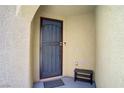 Inviting entryway featuring a sturdy security door, providing both curb appeal and peace of mind at 9864 Maspalomas St, Las Vegas, NV 89178
