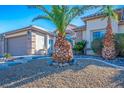 Close-up view of the front yard featuring desert landscaping with mature palm trees at 816 Sandsprings St, Henderson, NV 89011