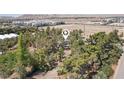 Overhead shot showcases the property nestled among mature trees providing lots of privacy at 55 Siddall Ave, Las Vegas, NV 89183
