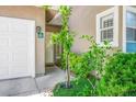 Inviting front entrance showcasing a well-manicured lawn and freshly painted front door at 9357 Golden Timber Ln, Las Vegas, NV 89117