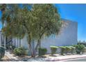 Home exterior with manicured shrubbery and mature trees at 5219 Caliente St # 11, Las Vegas, NV 89119