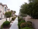Well-maintained community sidewalk lined with lush greenery and manicured bushes at 59 Belle Maison Ave, Las Vegas, NV 89123