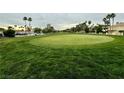 Lush golf green surrounded by well manicured grass with palm trees in the distance at 632 Tam O Shanter, Las Vegas, NV 89109