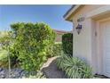 Landscaped front entrance with path leading to door and light fixture at address number; lush vegetation at 4672 Regalo Bello St, Las Vegas, NV 89135