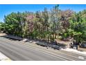 Lush front yard with mature trees, offering privacy and a serene atmosphere at 5260 N Jones Blvd, Las Vegas, NV 89130