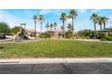 Community playground with a slide, grassy area, covered seating, and palm trees in the background at 4508 Dragon Fly Creek Ave, North Las Vegas, NV 89031