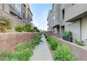 Well-maintained walkway featuring lush landscaping and leading to modern townhomes with gray exteriors at 659 Spotted Falcon St, Las Vegas, NV 89138