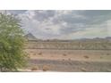 Desert landscape view with mountains, dry vegetation and cloudy sky at 1135 Paradise Mountain Trl, Henderson, NV 89002