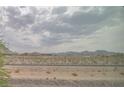 Desert landscape view with mountains, dry vegetation and cloudy sky at 1135 Paradise Mountain Trl, Henderson, NV 89002