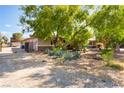 Single story home with desert landscaping including mature trees and yucca plants at 4905 Ricky Rd, Las Vegas, NV 89130