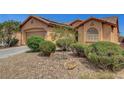 Low angle of a tan home showcasing its desert landscaping at 3544 Tack St, Las Vegas, NV 89122