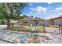 View of a single-story house with chain link fencing, some landscaping, and a large tree providing shade at 2528 Sunrise Ave, Las Vegas, NV 89101