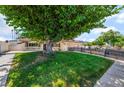 Well-maintained lawn and mature tree accent the exterior of this inviting single-story home with a tidy fence at 3463 Haverford Ave, Las Vegas, NV 89121