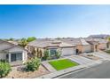 Lovely single-story home showcasing a two-car garage, vibrant green lawn, and verdant landscaping at 4529 Gracemont Ave, Las Vegas, NV 89139