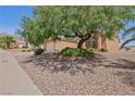 Attractive single-story home featuring low maintenance desert landscaping and a wide driveway at 10428 Villa Ridge Dr, Las Vegas, NV 89134