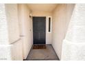 A close up front door shot with security screen at 1709 High Breeze Ct, Las Vegas, NV 89106