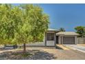 Single-story home with stucco exterior, gravel landscaping and a large, mature tree in the front yard at 671 Riata Way, Las Vegas, NV 89110