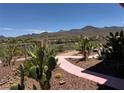 Landscaped backyard featuring desert plants, gravel pathways and views of mountains and the golf course at 18 Brookridge Dr, Henderson, NV 89052