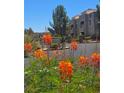 Exterior of building with well maintained landscaping and decorative orange flowers in view at 1908 Tierra Vista Dr # 210, Las Vegas, NV 89128
