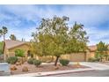 Street view of single story stucco home with mature landscaping, desert rock accents, and tile roof at 161 Swale Ln, Las Vegas, NV 89144