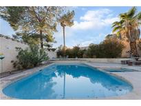 Inviting pool with spa and ample patio space for relaxation at 2240 Horse Creek Cir, Henderson, NV 89014