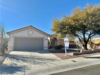 Single-story home with gray garage door and landscaped yard at 11037 Hawk Valley Ave, Las Vegas, NV 89134