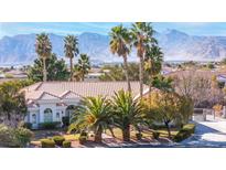 Aerial view of single-story house with pool and landscaped yard at 8887 Tierney Ct, Las Vegas, NV 89149
