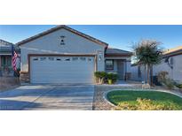 Single-story house with a two-car garage and landscaped front yard at 2575 Red Planet St, Henderson, NV 89044