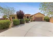 Single-story house with landscaped front yard, driveway, and attached garage at 10372 Hawks Wing St, Las Vegas, NV 89178