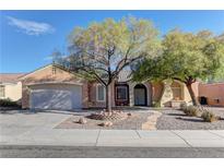 Single-story house with landscaped yard, double garage, and stone pathway at 1656 Black Fox Canyon Rd, Henderson, NV 89052