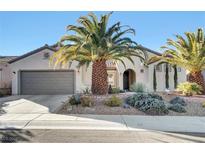 Single-story house with palm trees and landscaped yard at 2067 Bliss Corner St, Henderson, NV 89044