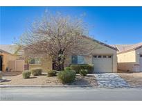 Single-story house with desert landscaping and attached garage at 3351 Denali Preserve St, Las Vegas, NV 89122