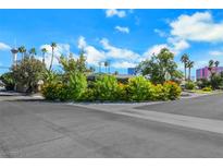 Ranch style home with a spacious front yard and mature landscaping at 1808 Birch St, Las Vegas, NV 89102