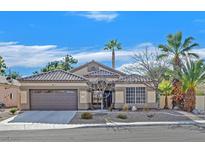 Charming single-story home with well-manicured landscaping and a two-car garage at 301 Treehouse Ct, Henderson, NV 89012