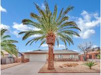 Charming single-story home featuring a well-manicured front yard with desert landscaping and a prominent palm tree at 5729 Heron Ave, Las Vegas, NV 89107