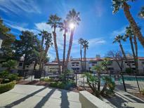 Community pool surrounded by palm trees and lush greenery at 8455 W Sahara Ave # 226, Las Vegas, NV 89117