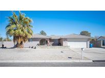 Charming single-story home with a well-manicured front yard and a beautiful palm tree at 4746 Rosalie Cir, North Las Vegas, NV 89031