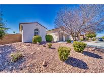 Charming single-story home featuring desert landscaping and a well-maintained yard, under a clear blue sky at 5295 Acqua Ln, Pahrump, NV 89061