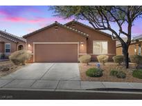 Charming single story home featuring a two car garage, desert landscaping and beautiful sunset sky at 1009 Fishing St, Henderson, NV 89011