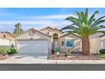 Charming single-story home with a well-maintained front yard and inviting curb appeal at 3173 Castle Canyon Ave, Henderson, NV 89052