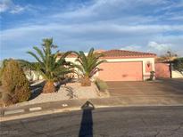 Charming single-story home featuring a two-car garage and desert landscaping with palm trees and rock accents at 441 Daylin Ct, Henderson, NV 89015