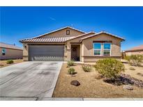 Charming single-story home with a well-maintained yard and a two-car garage at 5360 S Chippewa St, Pahrump, NV 89061